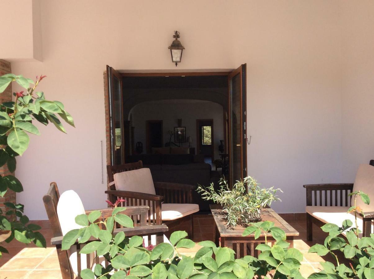 Santa Marta Complejo Rural Con Pista De Padel Guest House Archidona Exterior foto